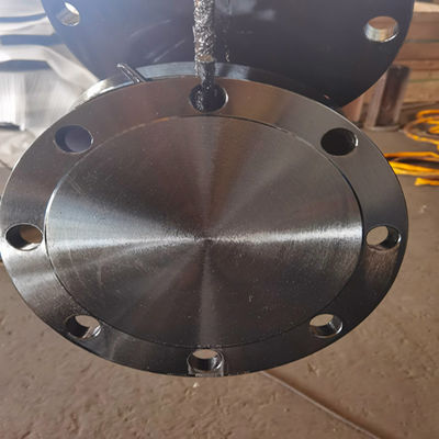 فلنج کور حلقه ای کلاس B کلاس D AWWA C207-07 A105N F304 304L F316 316L